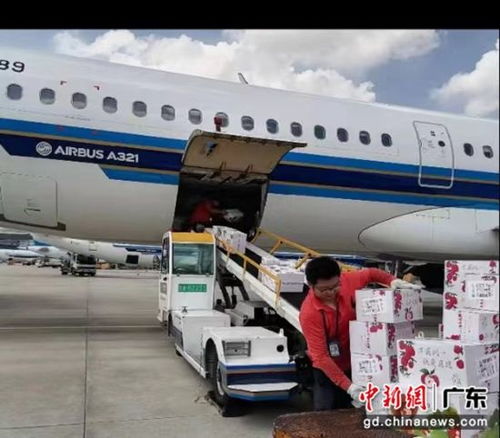 南航物流攜手廣東省農業農村廳助力‘荔’啟航，廣州物流賦能現代農業新篇章